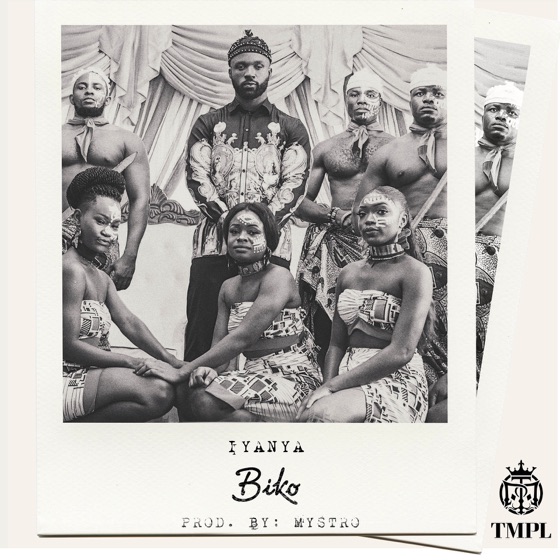 Cover artwork for Biko