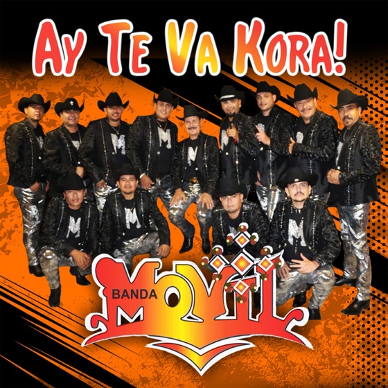 Cover artwork for La Zopilota