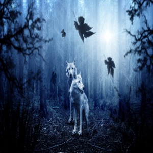 Wild Alive Thrive Rule #9 Read the Feedback.