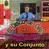 Año Viejo Malicioso (with Su Conjunto) artwork