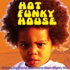 Hot Funky House (20 Irma Top Tracks Selected by Black Mighty Wax)