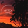 Turkey (Findike Remix) - Single, 2019