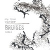 Bruises - Single, 2020