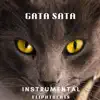 gata salvaje song lyrics