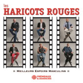 The Godfather Theme Song - Les Haricots Rouges