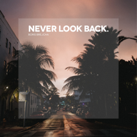 Boris Brejcha - Never Look Back (Edit) artwork