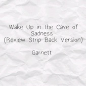 Wake up in the Cave of Sadness (Review Strip Back Version) artwork