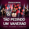 Tão Pedindo um Vanerão (Ao Vivo) [feat. Gildnho & Chiquito] - Single