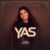 Evidências - Single