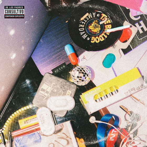 Cover artwork for Tripster Freestyle