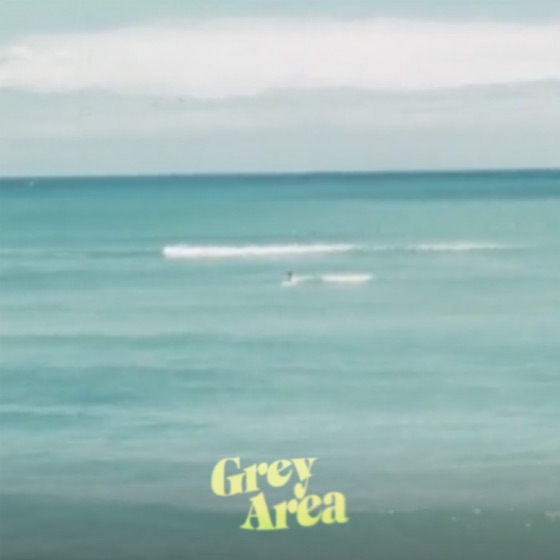 Cover artwork for Grey Area