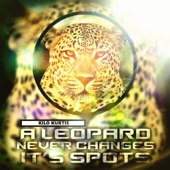 Leopard (feat. SJ Soulist) artwork