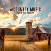 #Country Music: Taste of Texas Restaurant - Road House, Hotels, Café and Lounge Bar artwork