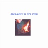 Mansa Obi - Amazon Is on Fire