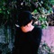 Birthday - Joshua Morata lyrics