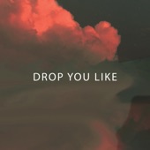 Drop You Like artwork