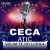 Volim te do ludila - Single