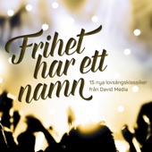 Frihet har ett namn artwork