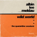 Albin Lee Meldau - Wild World