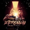 Determinação - Single