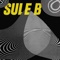 Caballo de Troya (feat. Recycled J) - Sule B lyrics