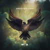 Bird's Eye View - Single