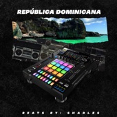 Republica Dominicana artwork