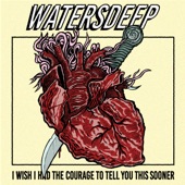 I Wish I Had the Courage to Tell You This Sooner artwork