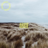 Abide - EP artwork