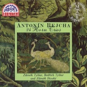 Rejcha: 24 Horn Trios, Op. 82 artwork