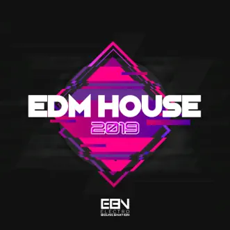 EDM House 2019 by Various Artists album reviews, ratings, credits