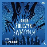 Jakub Żulczyk - Świątynia artwork