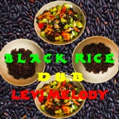 Black Rice Dub artwork