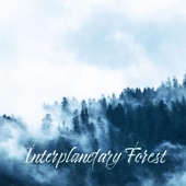 Interplanetary Forest artwork