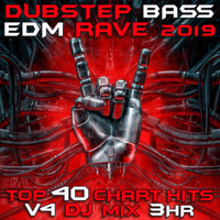 Dubstep Spook - Dubstep Bass EDM Rave 2020, Vol. 4 DJ Mix 3Hr artwork