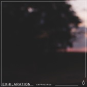 Exhilaration (feat. Lotis.) artwork