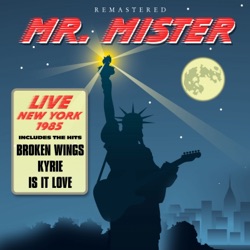 Mr. Mister - Is It Love