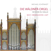 Die Wäldner-Orgel im Dom zu Halle - Michael Schönheit