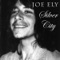 Santa Rosa/St. Augustine - Joe Ely lyrics