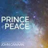 Prince of Peace (feat. Marvin Goldstein) album lyrics, reviews, download