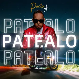 Patealo - Single by Punto A album reviews, ratings, credits