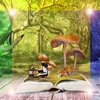 Meditation Therapy Piano Lullaby Collection