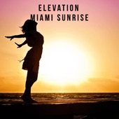Miami Sunrise artwork