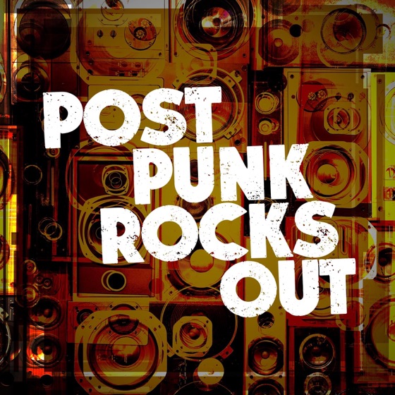 Cover artwork for Idiots Rule