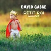 Petit roi (Remixes) - EP