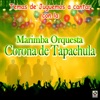 Temas Juguemos A Cantar Con La Marimba Orquesta Corona De Tapachula artwork