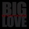 Big Love - Single