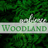 Woodland Ambience - Mother Earth Times