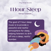 1 Hour Sleep artwork