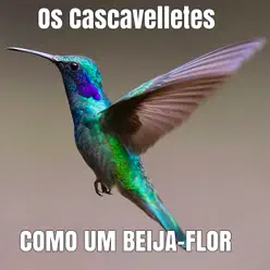 Como Um Beija Flor - Os Cascavelletes